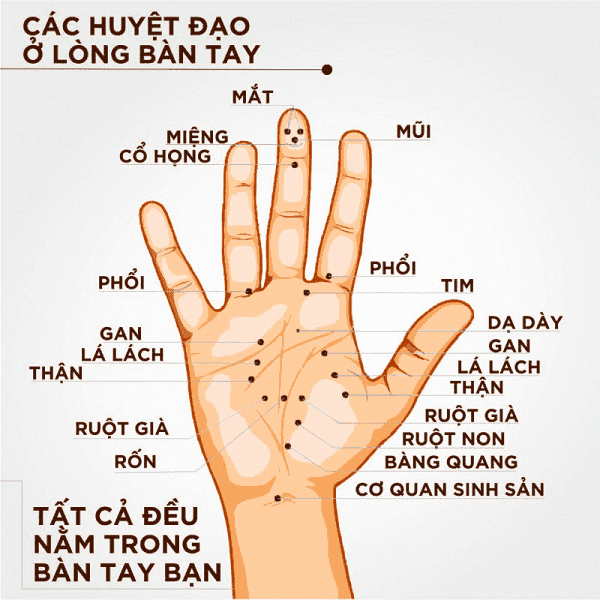 Xoa Bóp Bấm Huyệt
